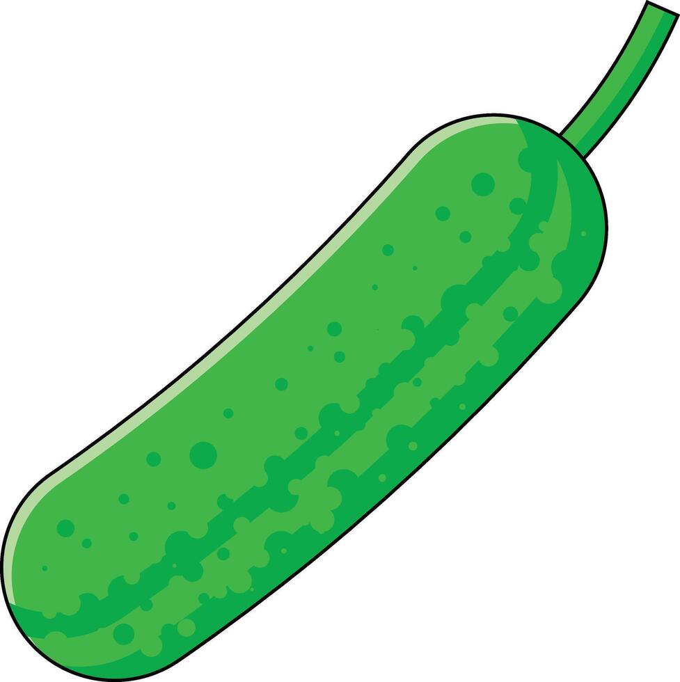 Cucumber vectors illustration