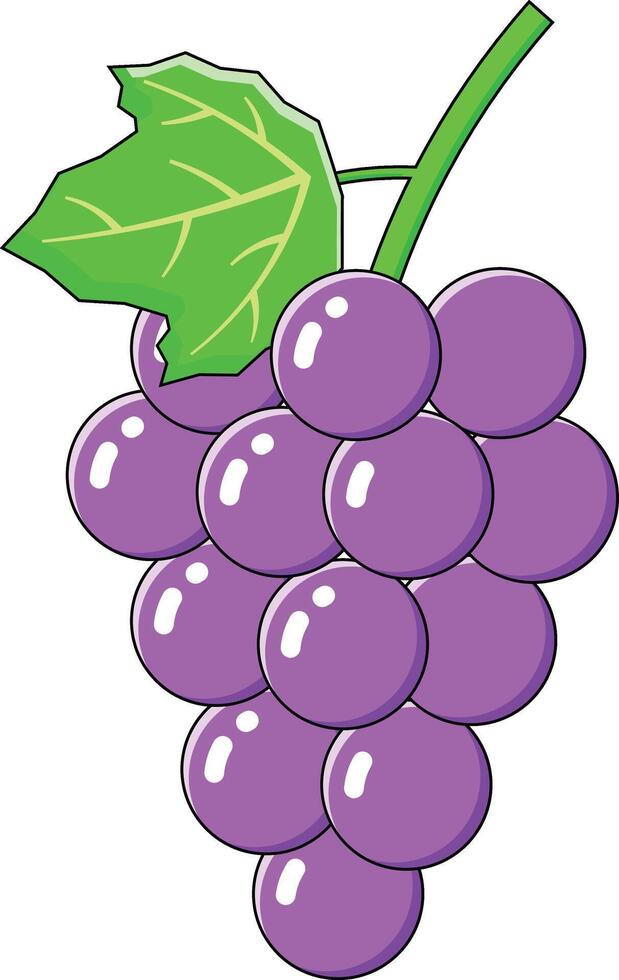 purple grape vectors