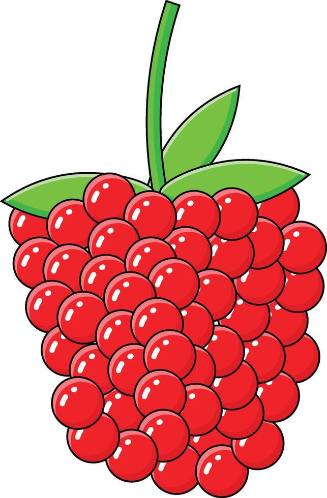 raspberry vectors illustration