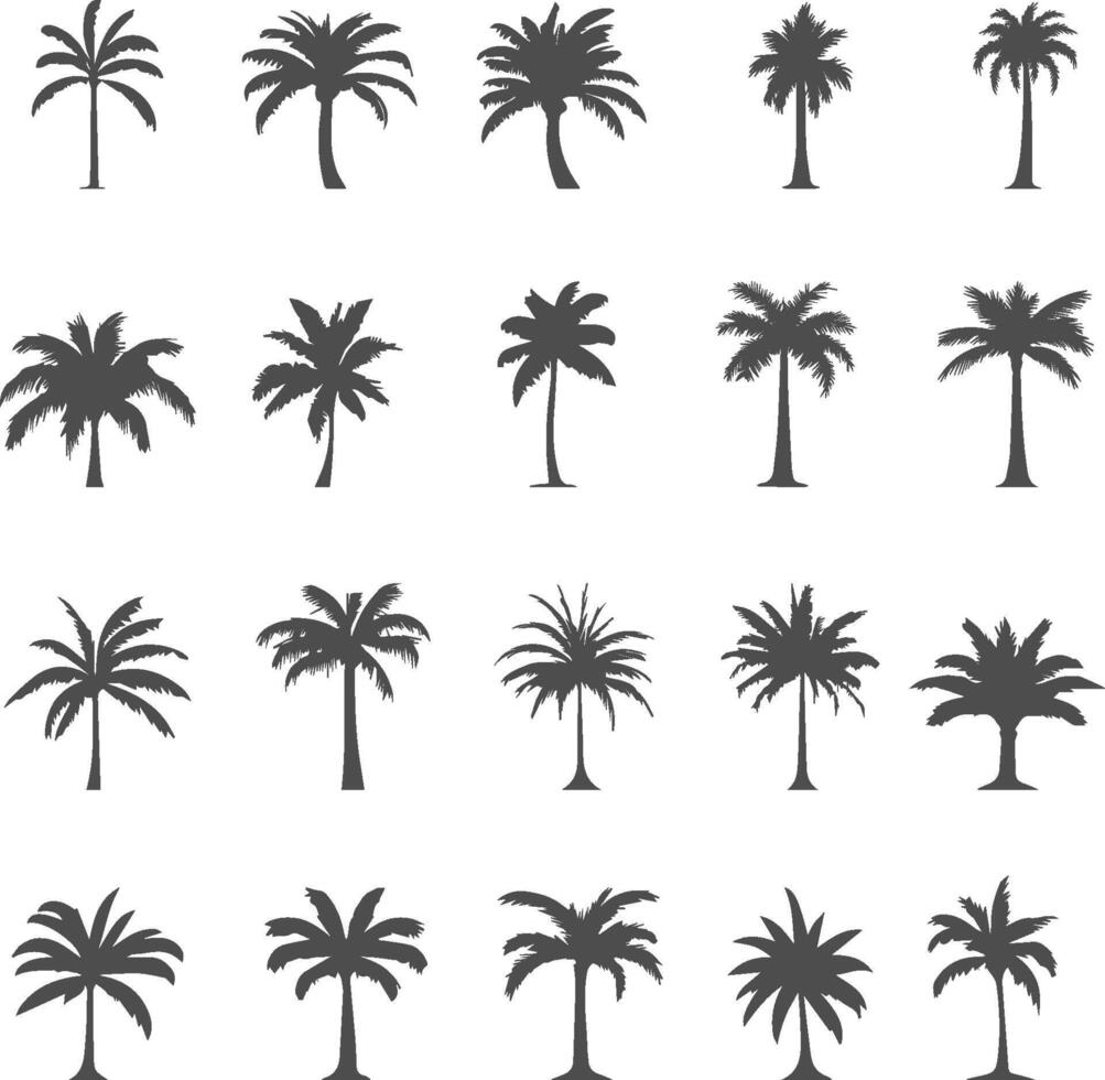 Set silhouettes of palm tree isolated on transparent background vector