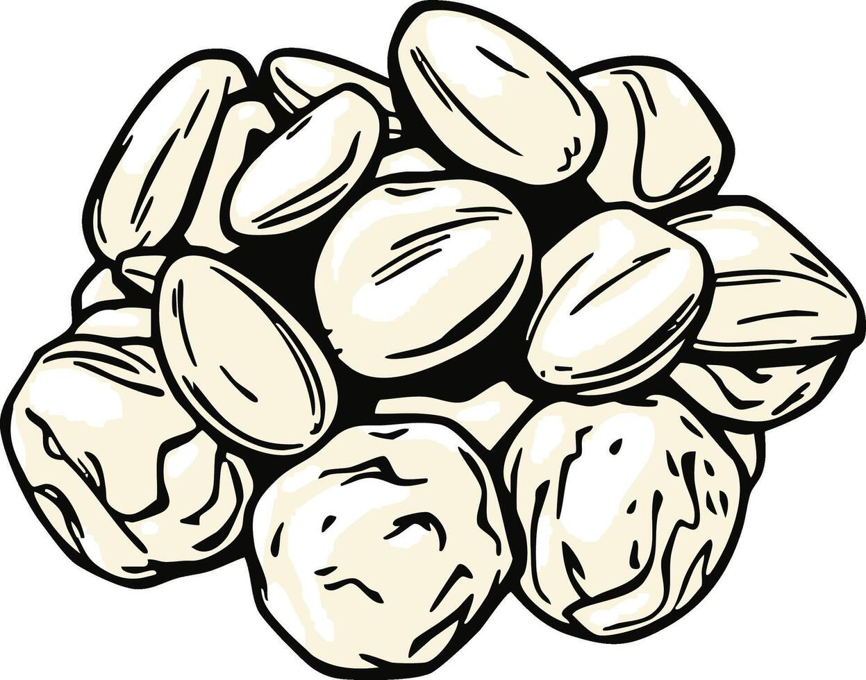 Artistic Illustration Depicting A Pile Of Fresh Shelled Macadamia Nuts On Plain Background vector
