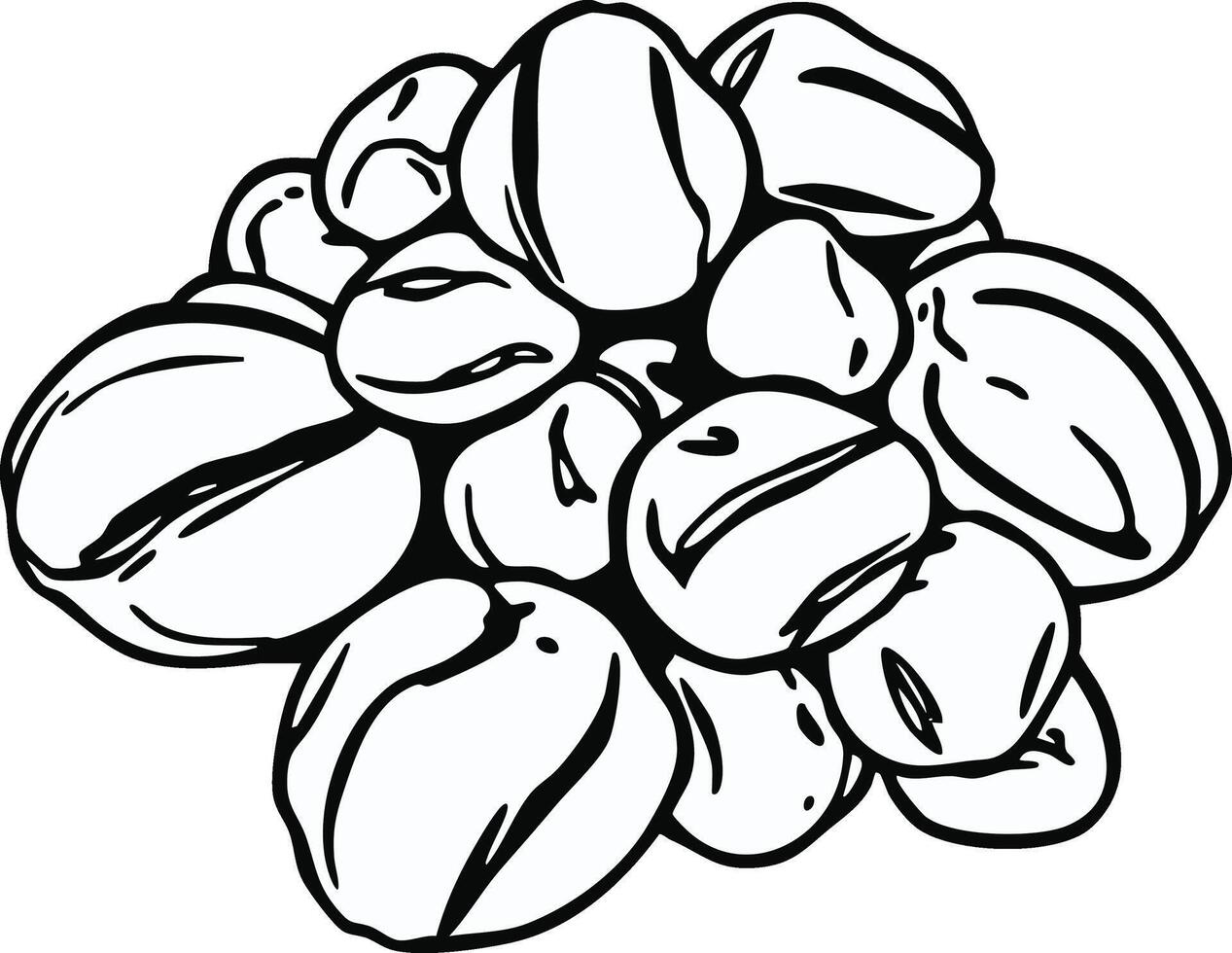 Sketch Of Coffee Beans Stacked Together In A Pile On A White Background Illustrative Drawing vector