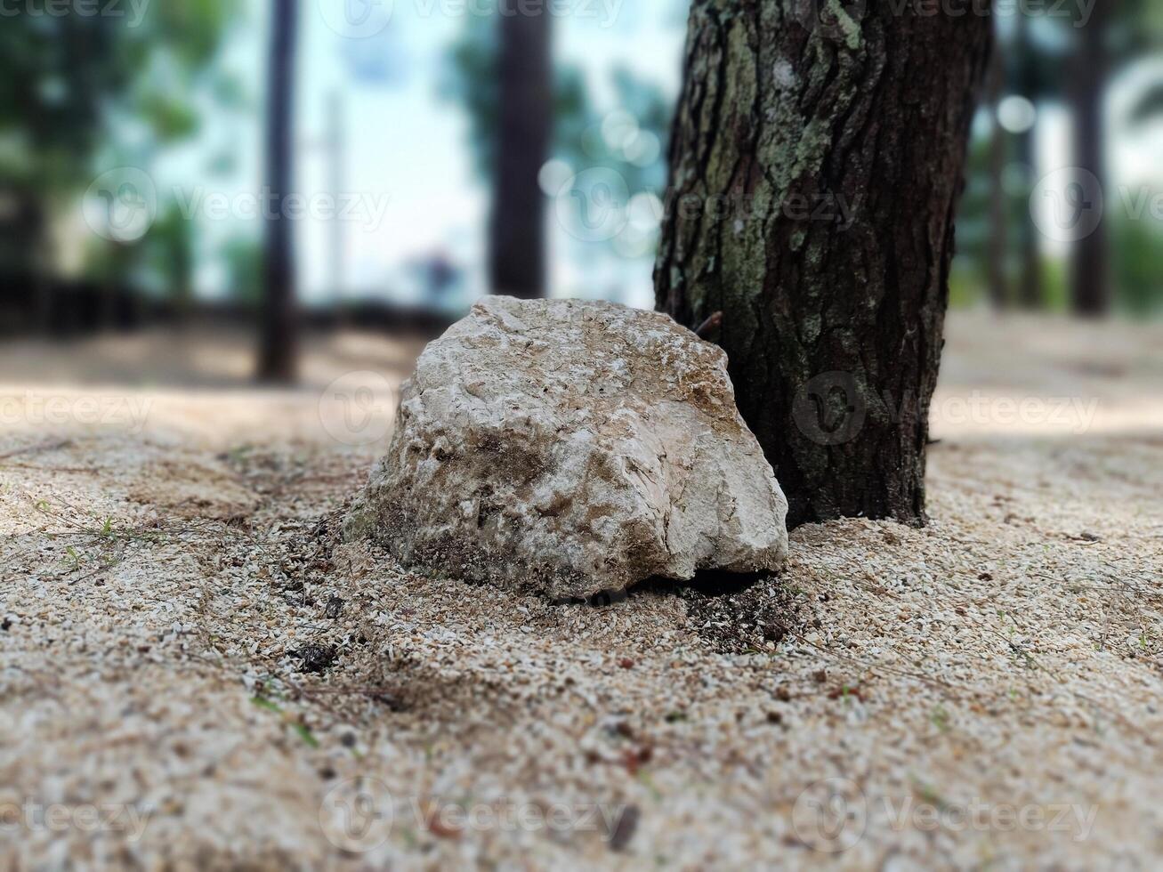 Large Rock Resting Beside Tree Trunk in Natural Outdoor Setting 2 photo