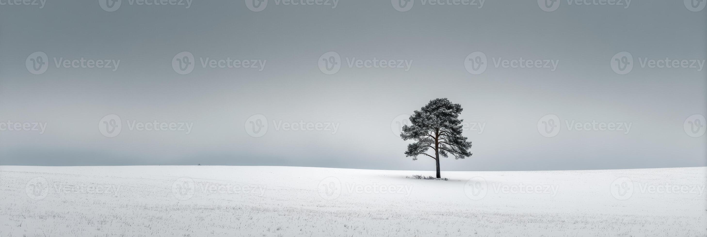 A tree stands alone in a snowy field photo