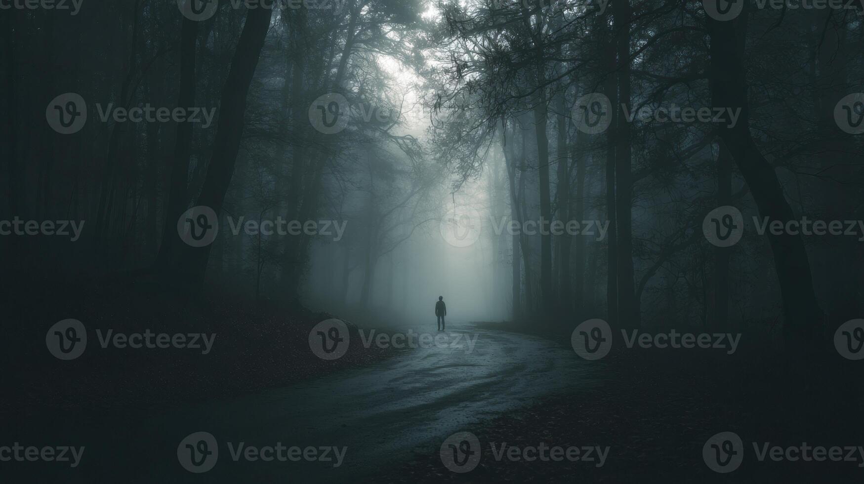 A person walking down a dark road in the woods photo