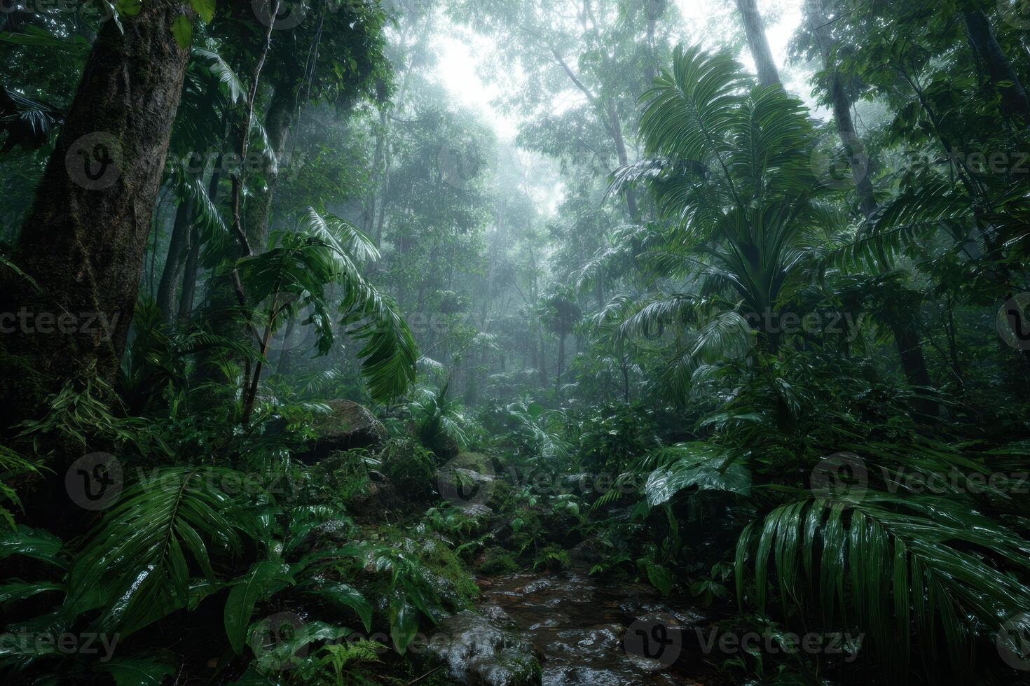 A tropical rainforest with lush vegetation and water photo
