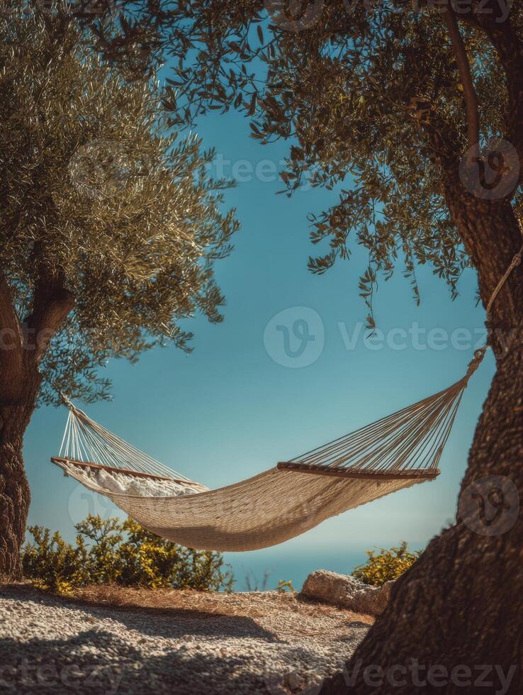 A hammock is hanging between two trees photo