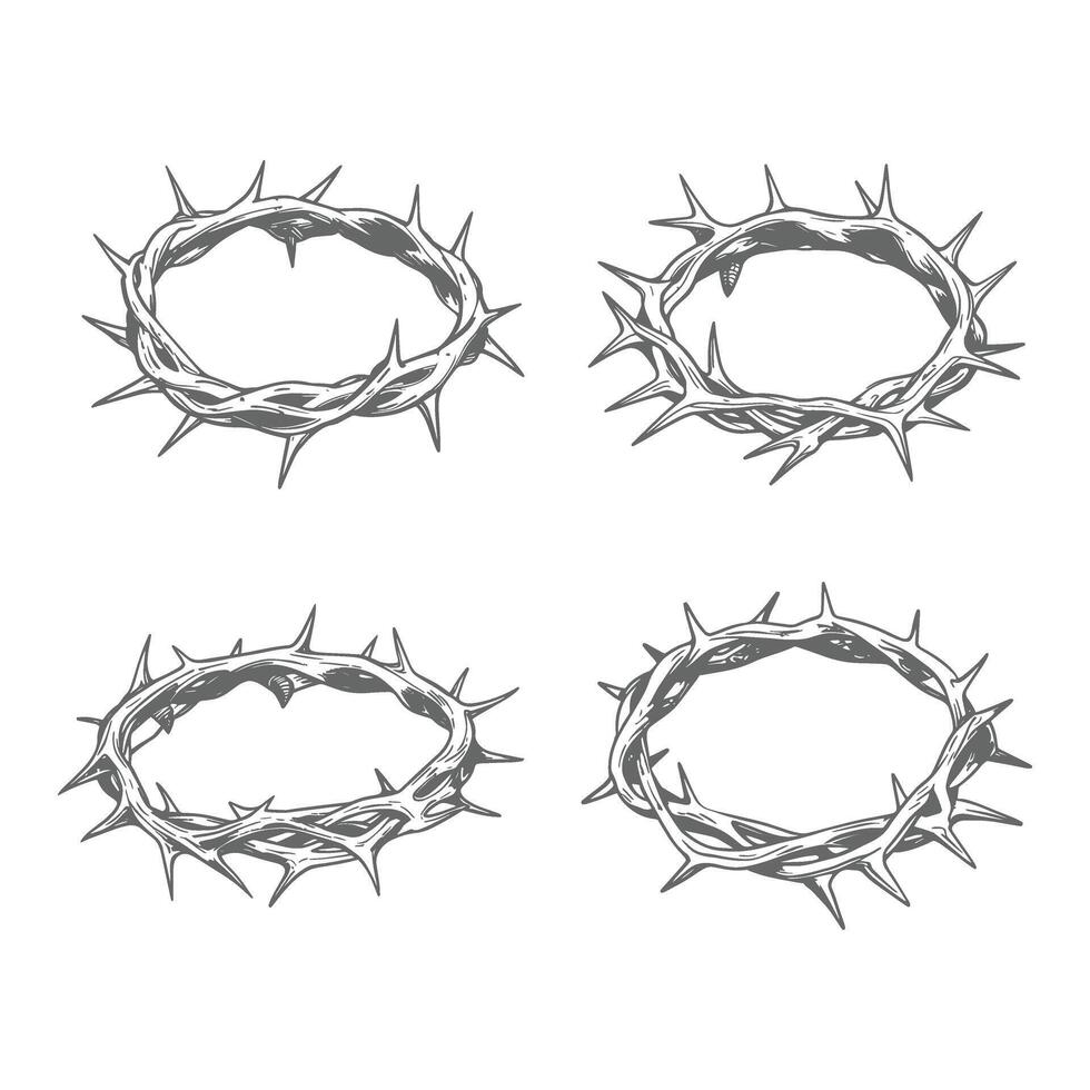 Crown of Thorns Drawings. vector
