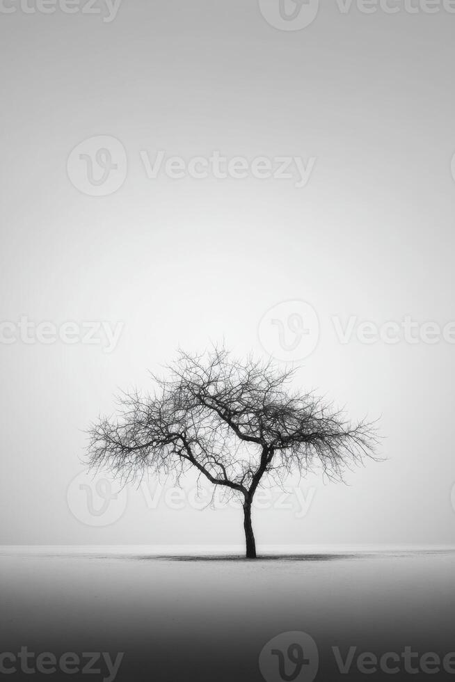 Black and white photo of a tree in the middle of a field