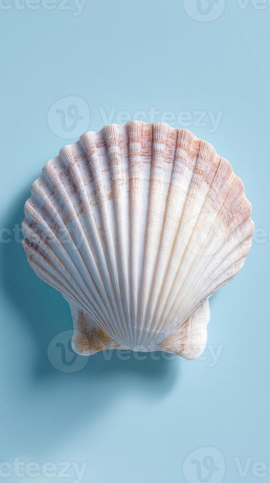A shell on a blue background photo