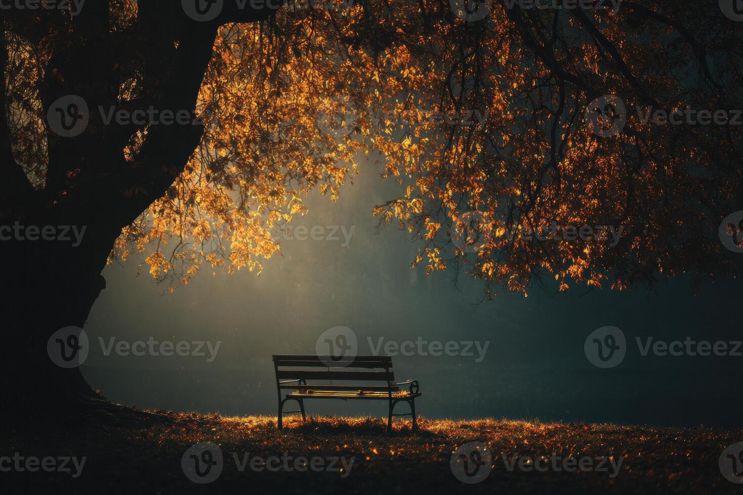 A bench under a tree in the middle of a field photo