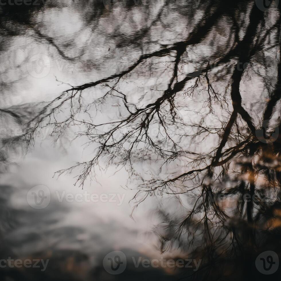 Minimal Reflection of trees in water photo