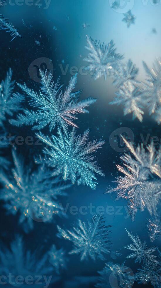 Snowflakes on a window glass photo