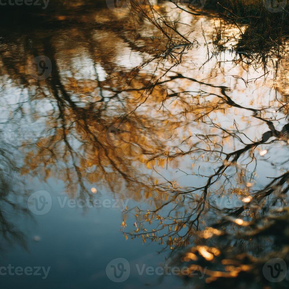 Reflection of autumnal trees in water photo