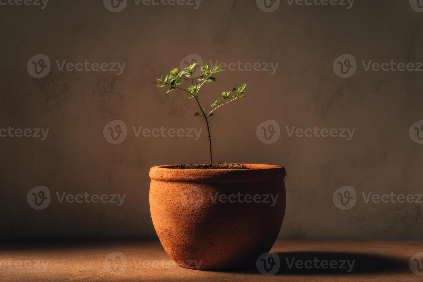 A small plant in a clay pot on a table photo