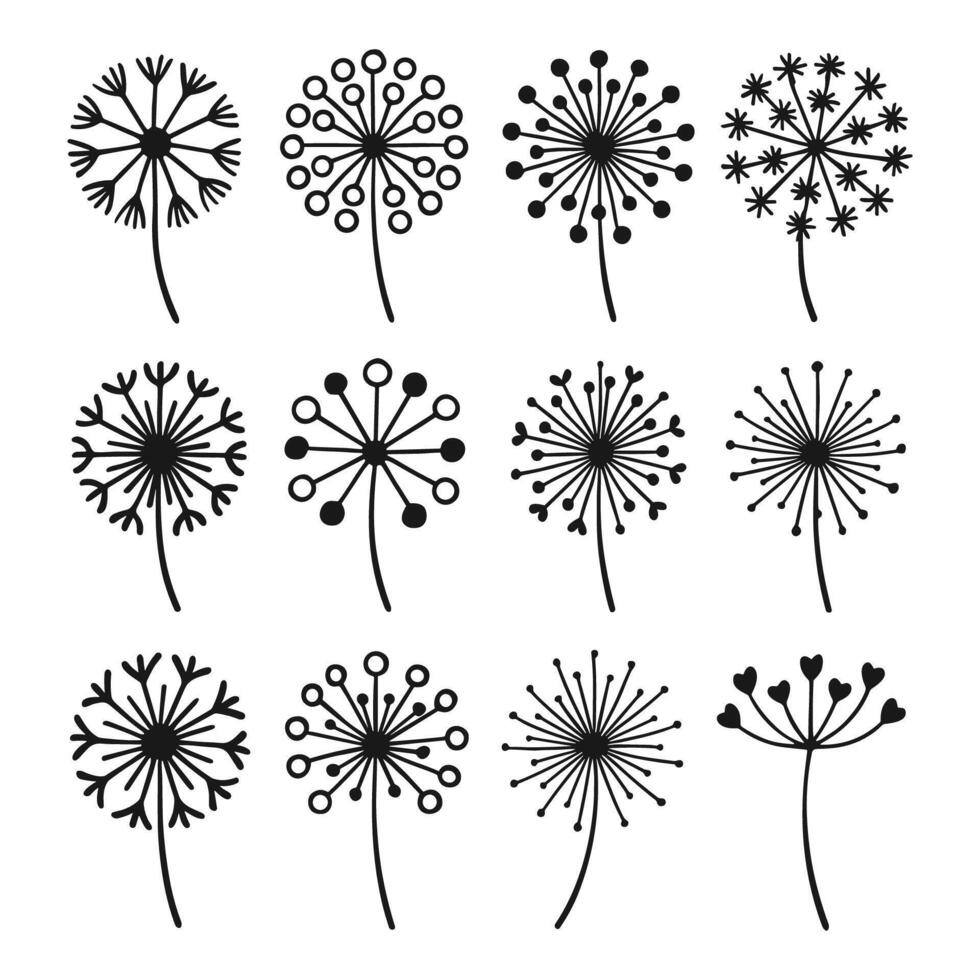 Dandelion flowers set of black and white silhouettes vector
