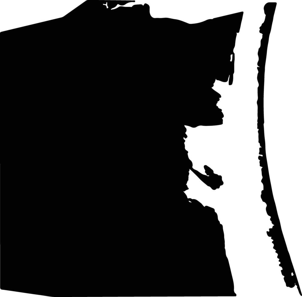 Kenedy United States silhouette map vector