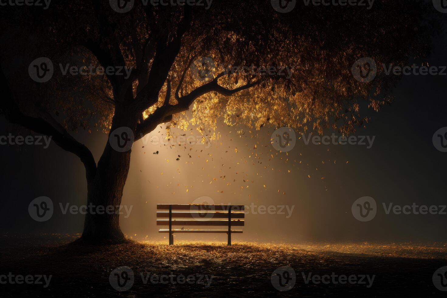 A bench under a tree in the dark photo