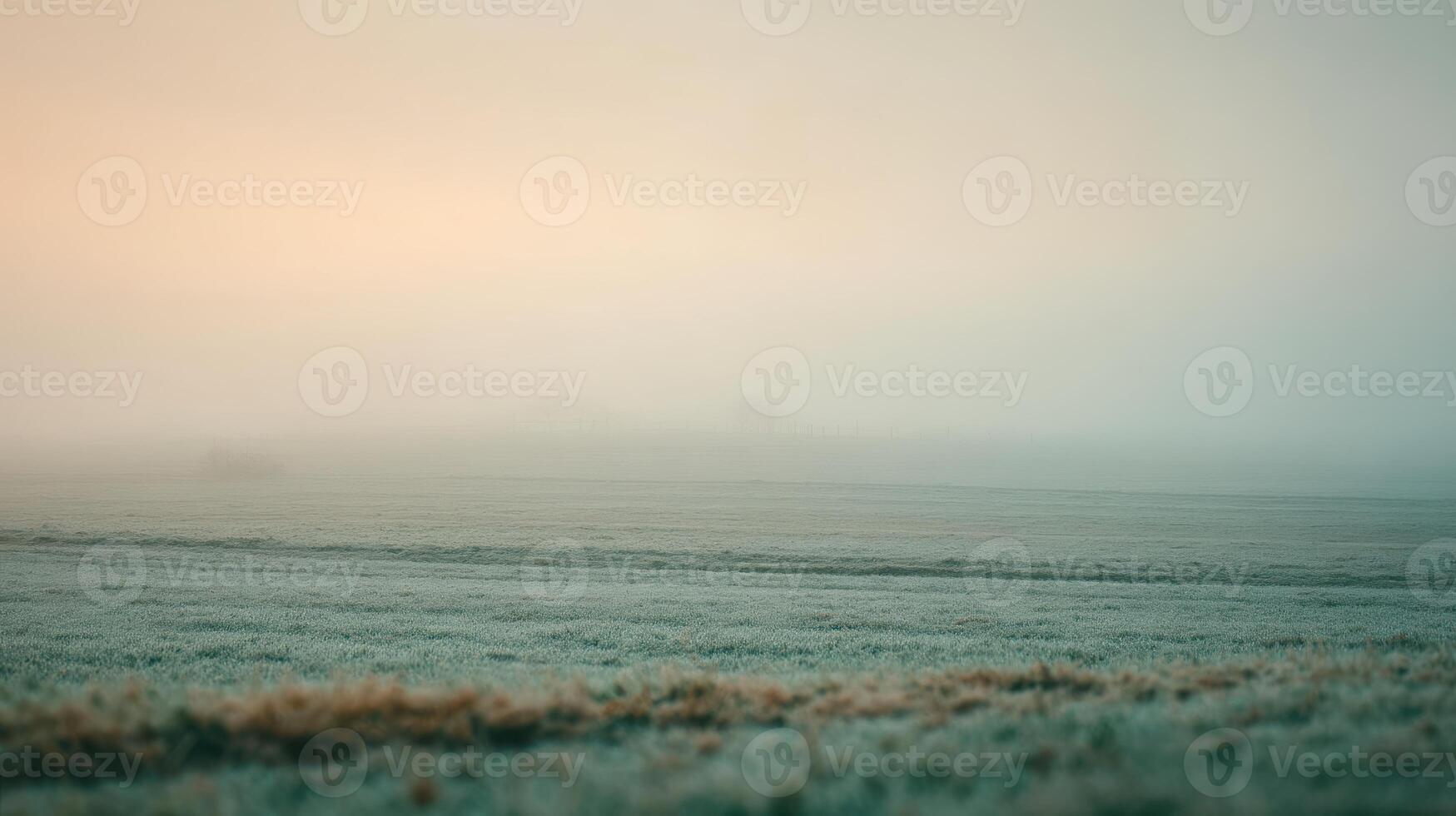 Foggy field with grass and trees in the distance photo