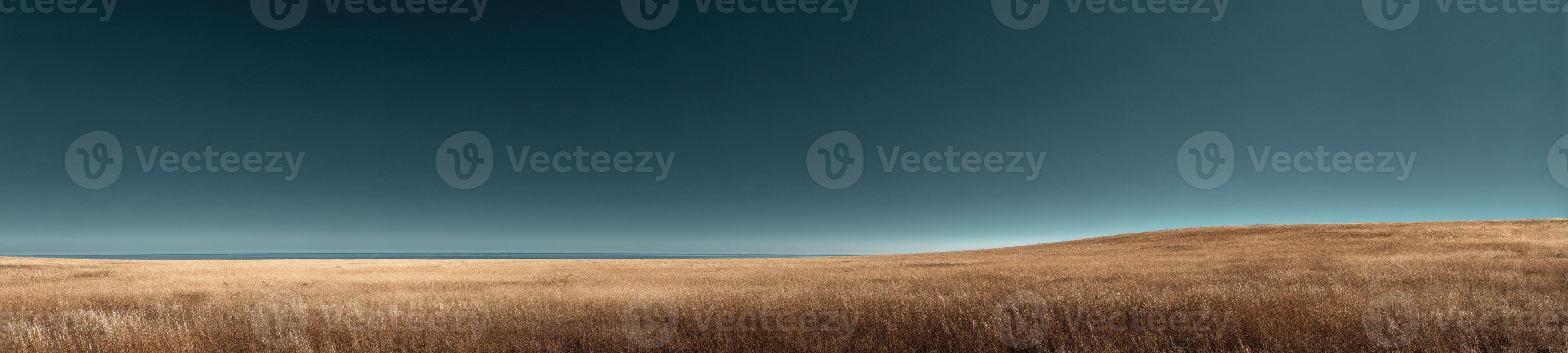 A field with tall grass and a blue sky photo