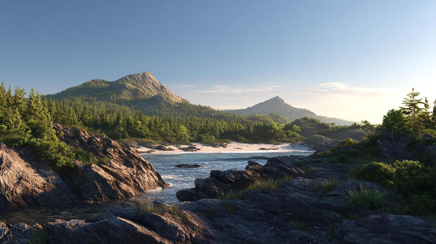Nature Photo of the Environment