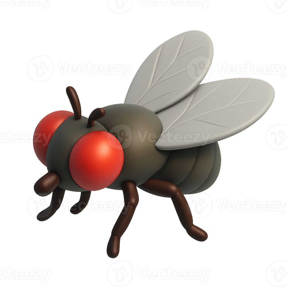 Simple 3D Fly Render with Detailed Texture and Realistic Features png