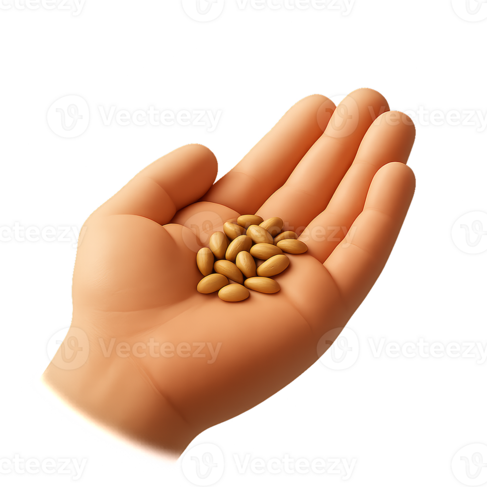 3D Illustration of Seeds in a Hand for Simple Composition png