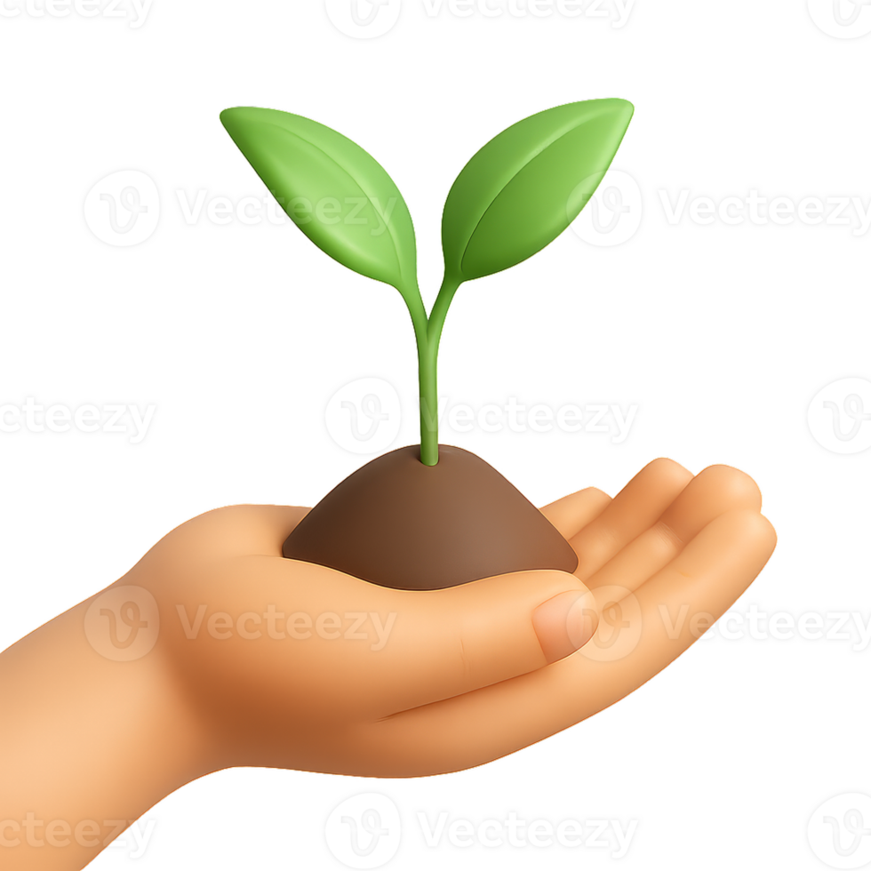 Hand Holding Green Seedling in Palm on Isolated Background png