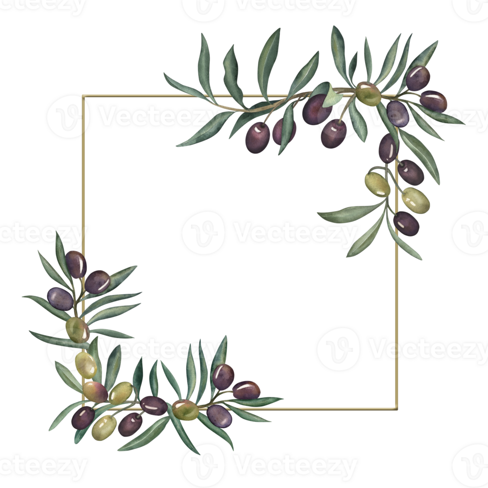 Golden square frame of olive branches with green and black olives. Watercolor illustration is hand drawn in botanical style. Elegant template for wedding invitation, Mediterranean decor for cards png