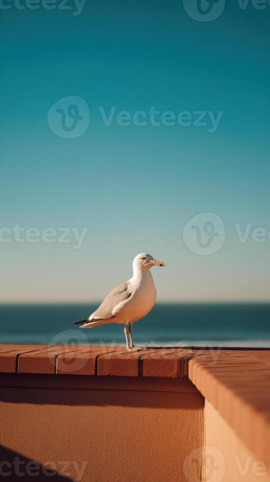 A seagull standing on a ledge overlooking the ocean photo