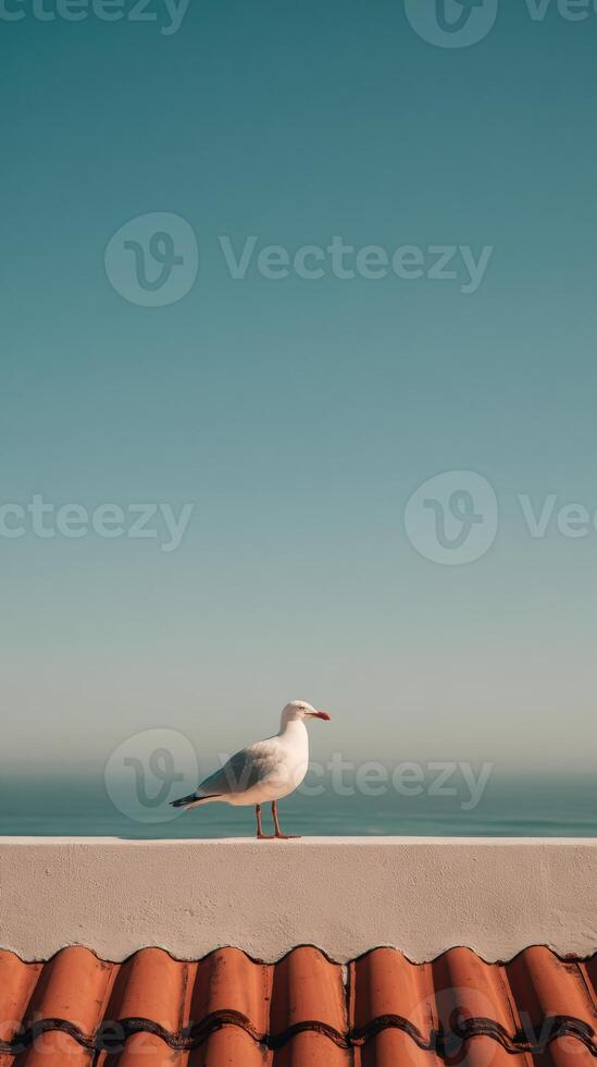 A seagull sitting on a roof with the ocean in the background photo