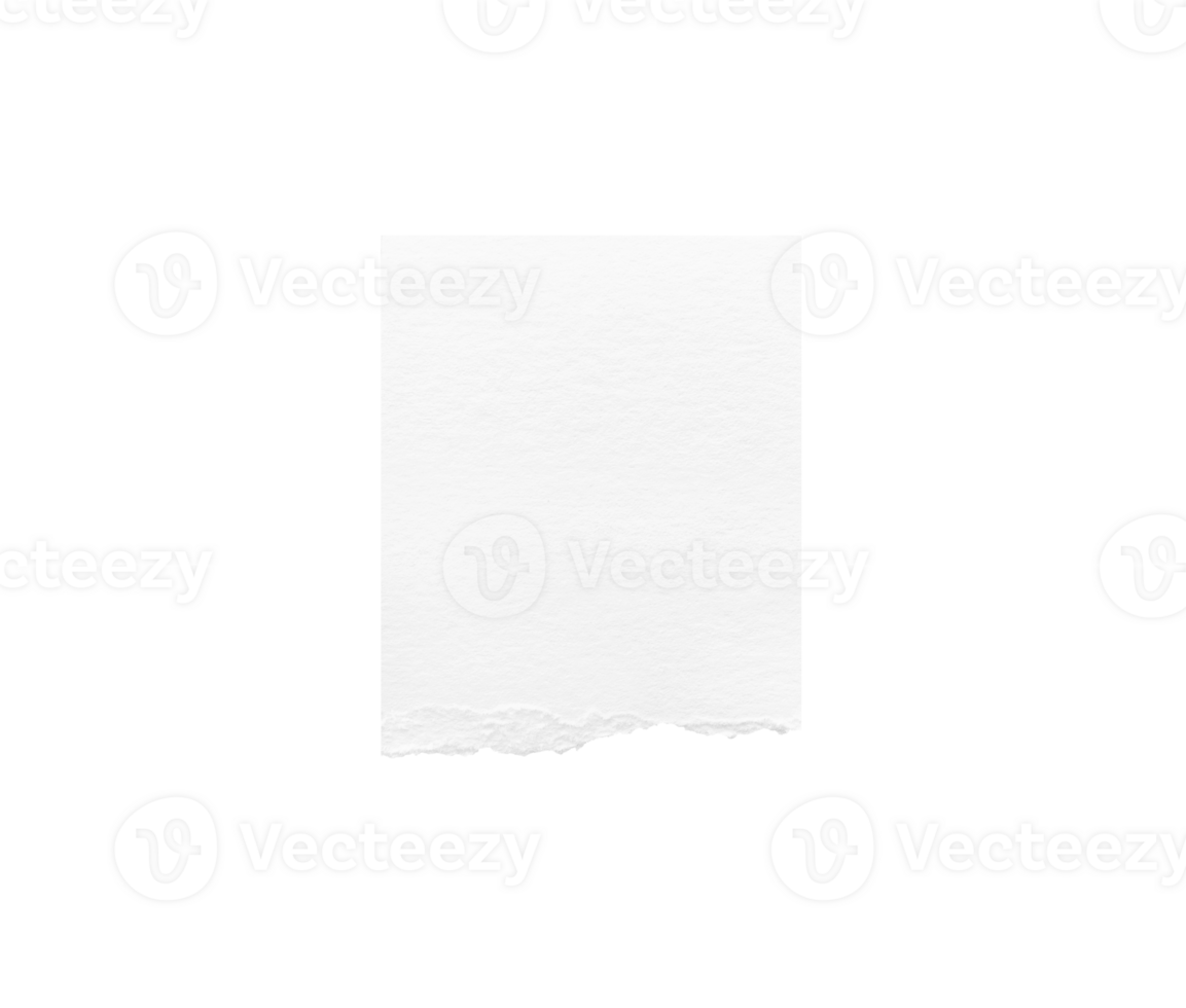 Torn paper edges. Ripped paper texture. Paper tag. White paper sheet for background with clipping path. Close up png