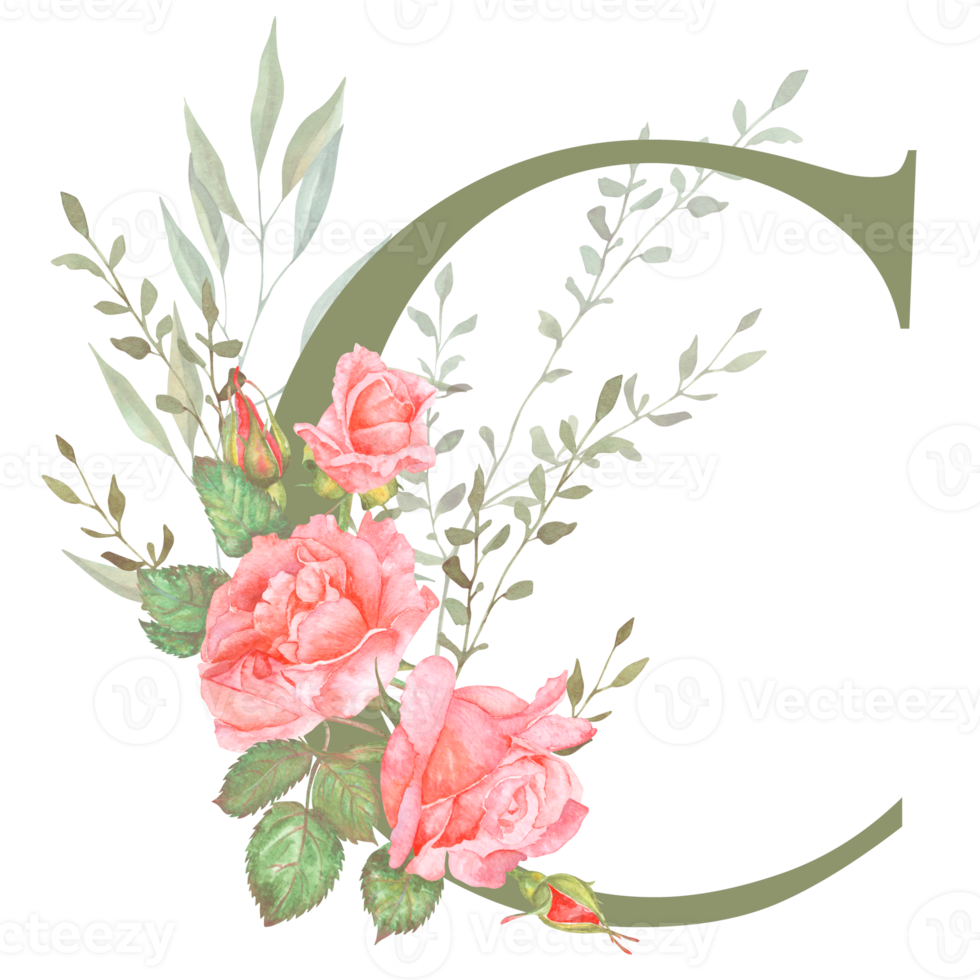 Hand painted watercolor floral alphabet - letter C. The letter of the alphabet is olive colored and decorated with watercolor roses. Wedding, birthday, children's party, any creative ideas. png