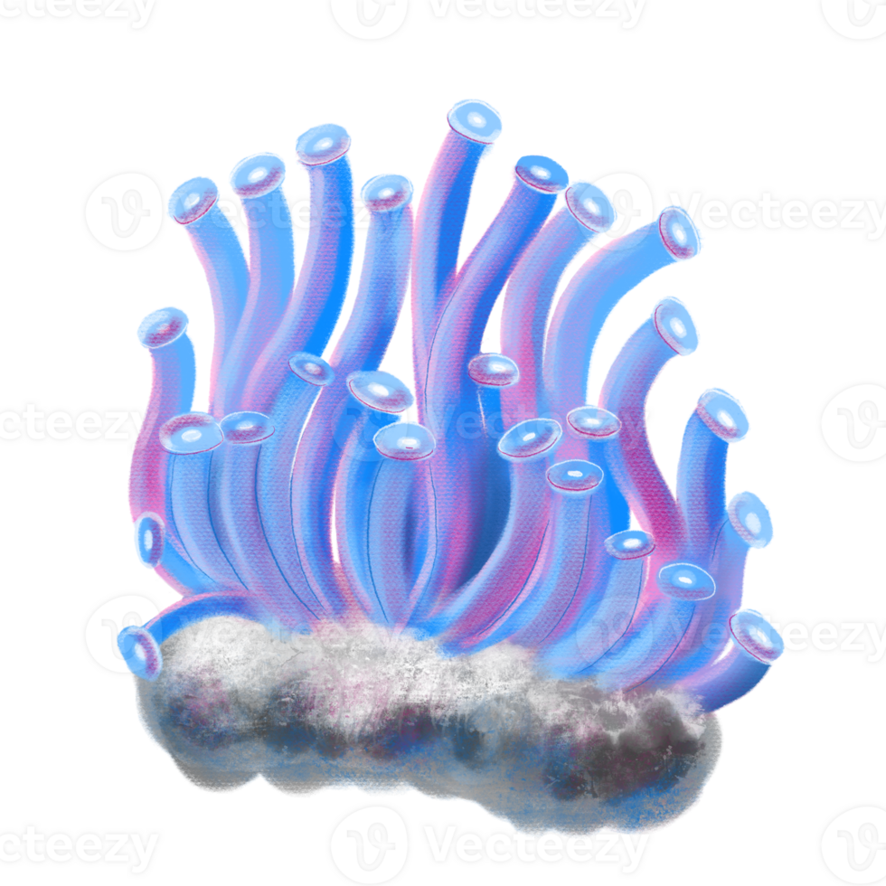 Blue and pink coral illustration, tropical exotic ocean hand drawn marine underwater art in soft pastel style. png