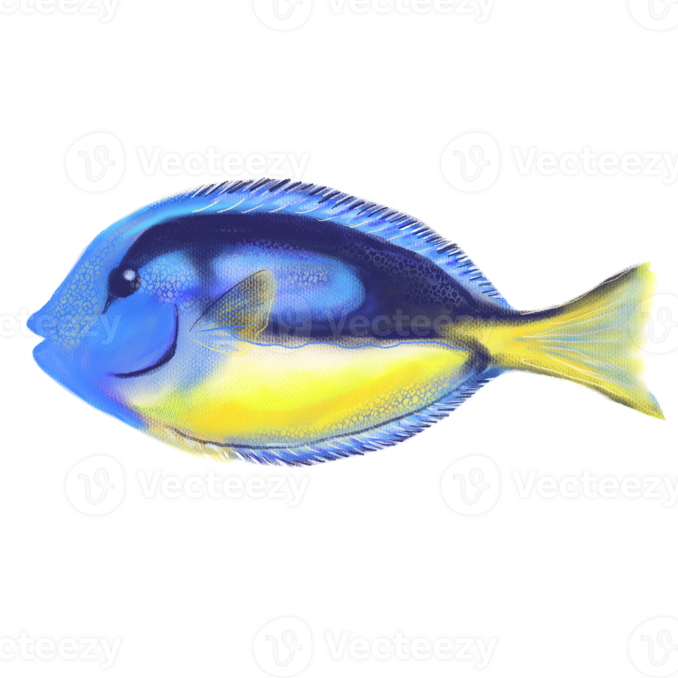 Hand drawn ocean Blue Tang or Palette Surgeon fish illustration, tropical exotic sea art in soft pastel style. png