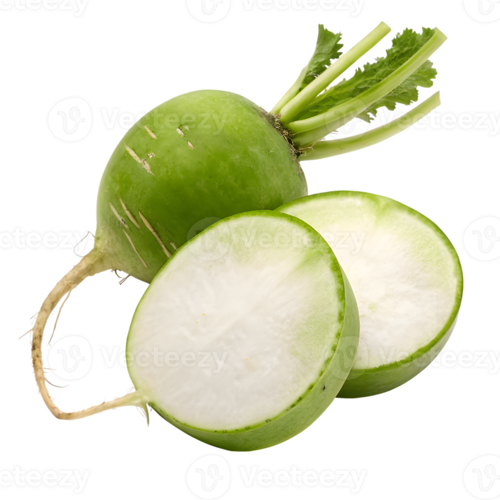 Turnip, Brassica rapa subsp. rapa var. majalis, Korean radish, Green radish on Transparent Background png