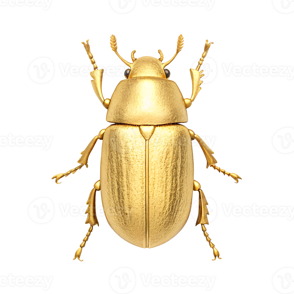 Golden Beetle Insect Luxury Jewel toned Coleoptera Close up Macro Photography png