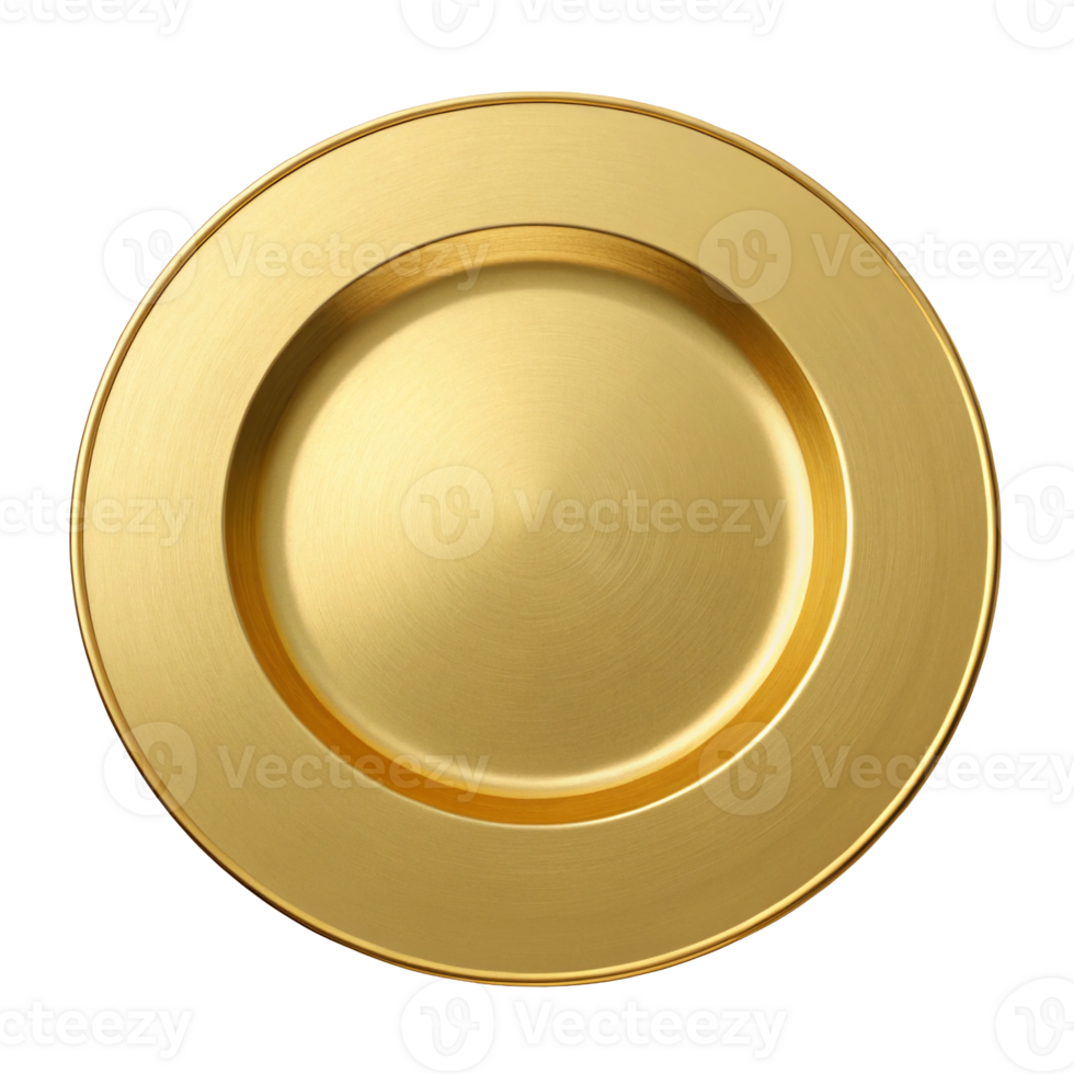 Elegant Gold Charger Plate Luxury Table Setting Round Dinnerware Brushed Metal Finish Placemat png