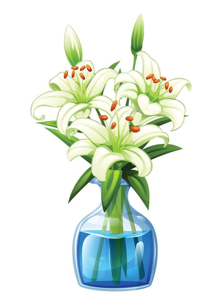 White lilies in a transparent glass vase filled with water. Cartoon illustration vector
