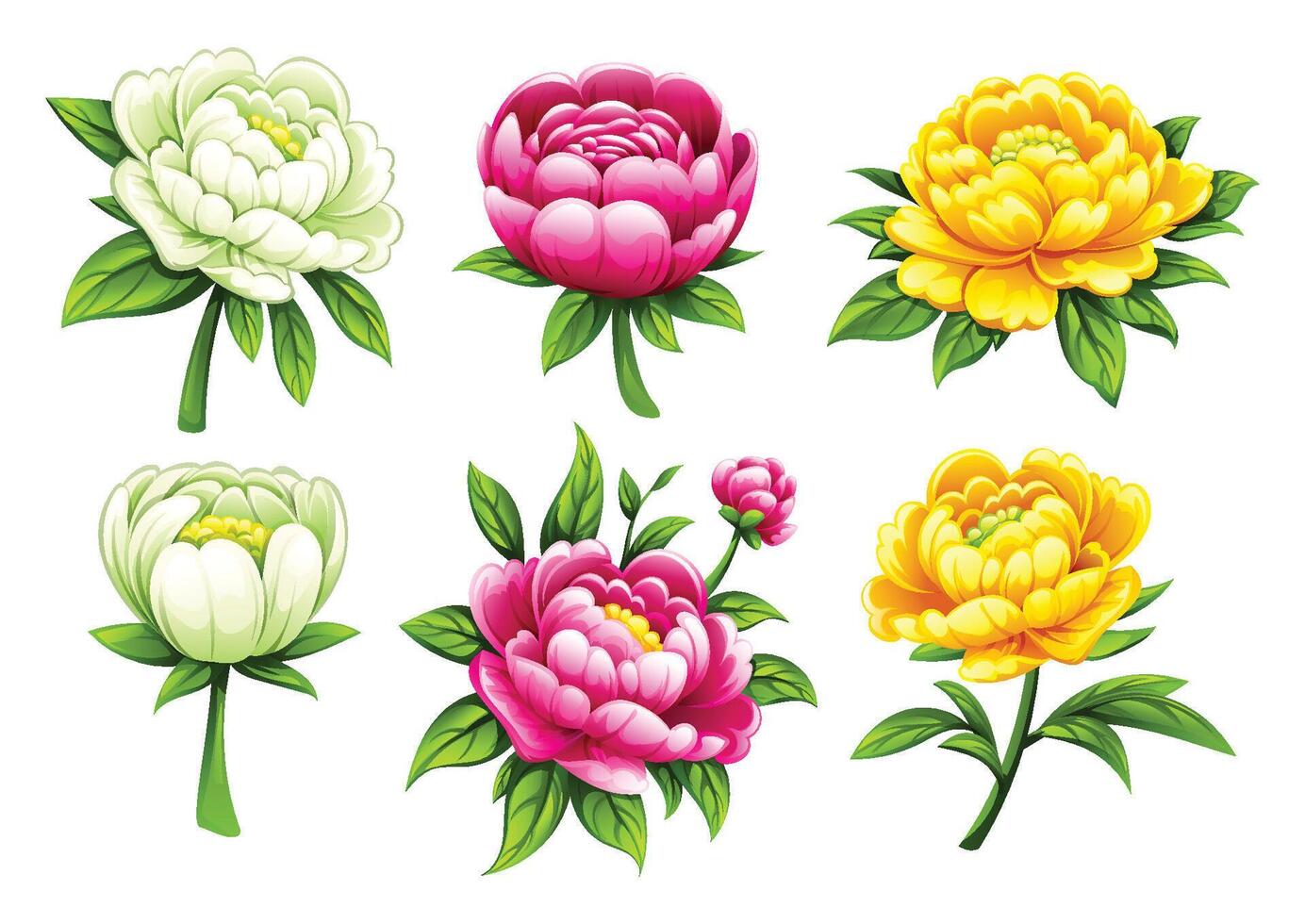 Various peony flowers with different colors. Cartoon illustration vector