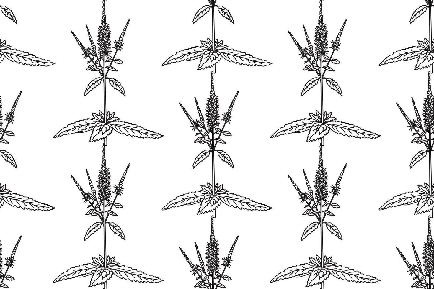 Line art botanical floral seamless pattern with wildflowers illustration.Black outline repeating medicinal plants with Flowers Leaves Stems in white background. Graphic design for Fashion Cover Card vector