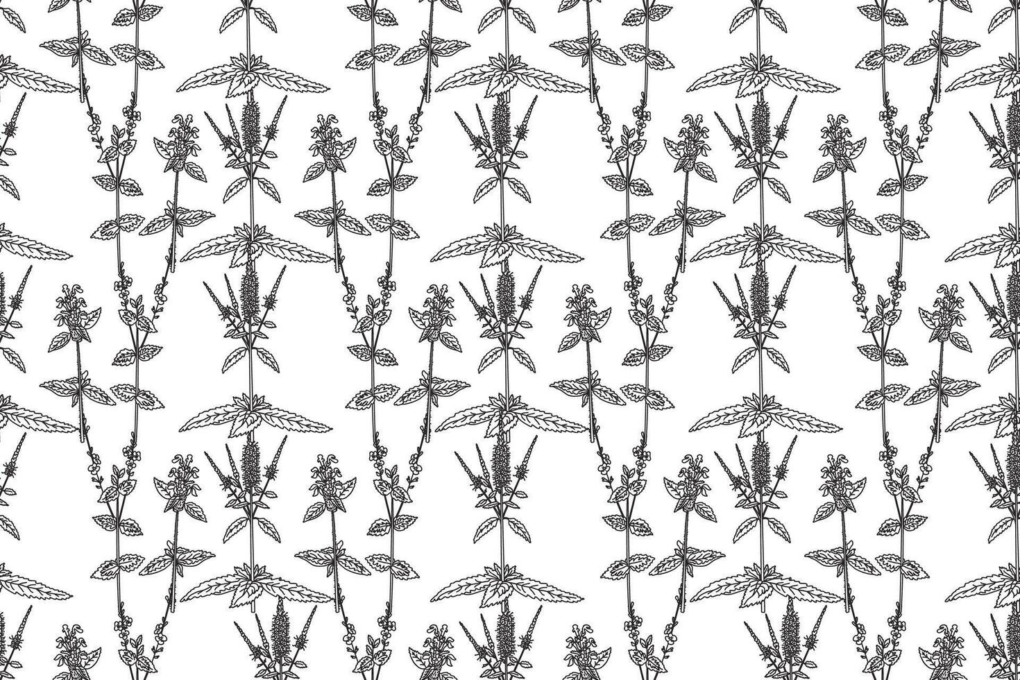 Line art botanical floral seamless pattern with wildflowers illustration. Black outline repeating medicinal plants with Flowers Leaves Stems in white background. Graphic design for Fashion Textile vector