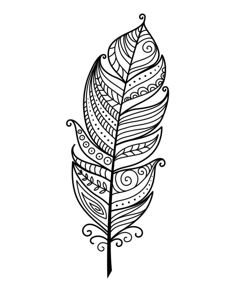 Detailed hand drawn feather with ornamental elements vector