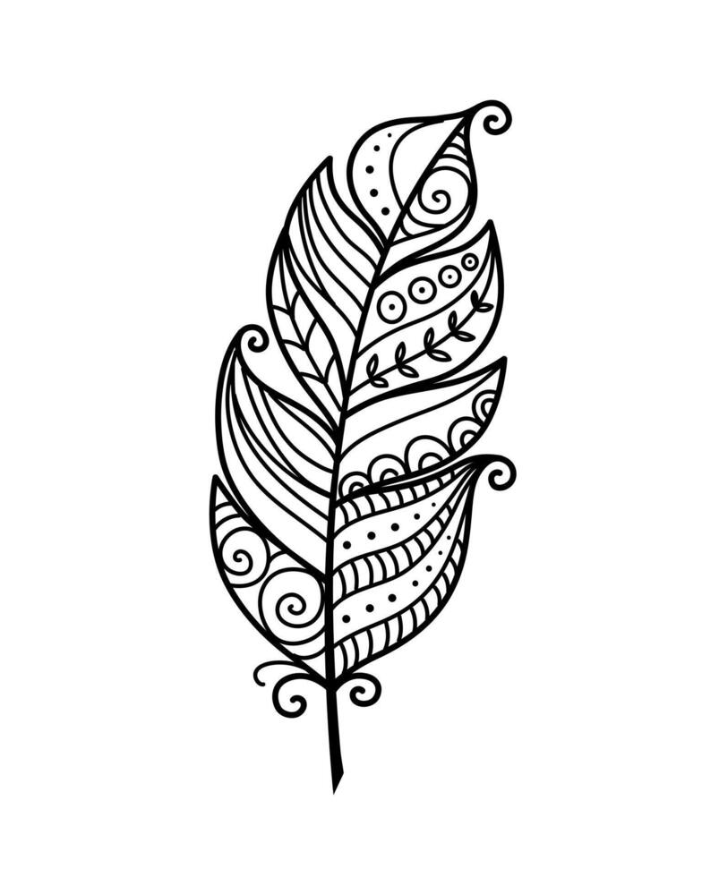 Doodle feather illustration hand drawn in black on white background vector