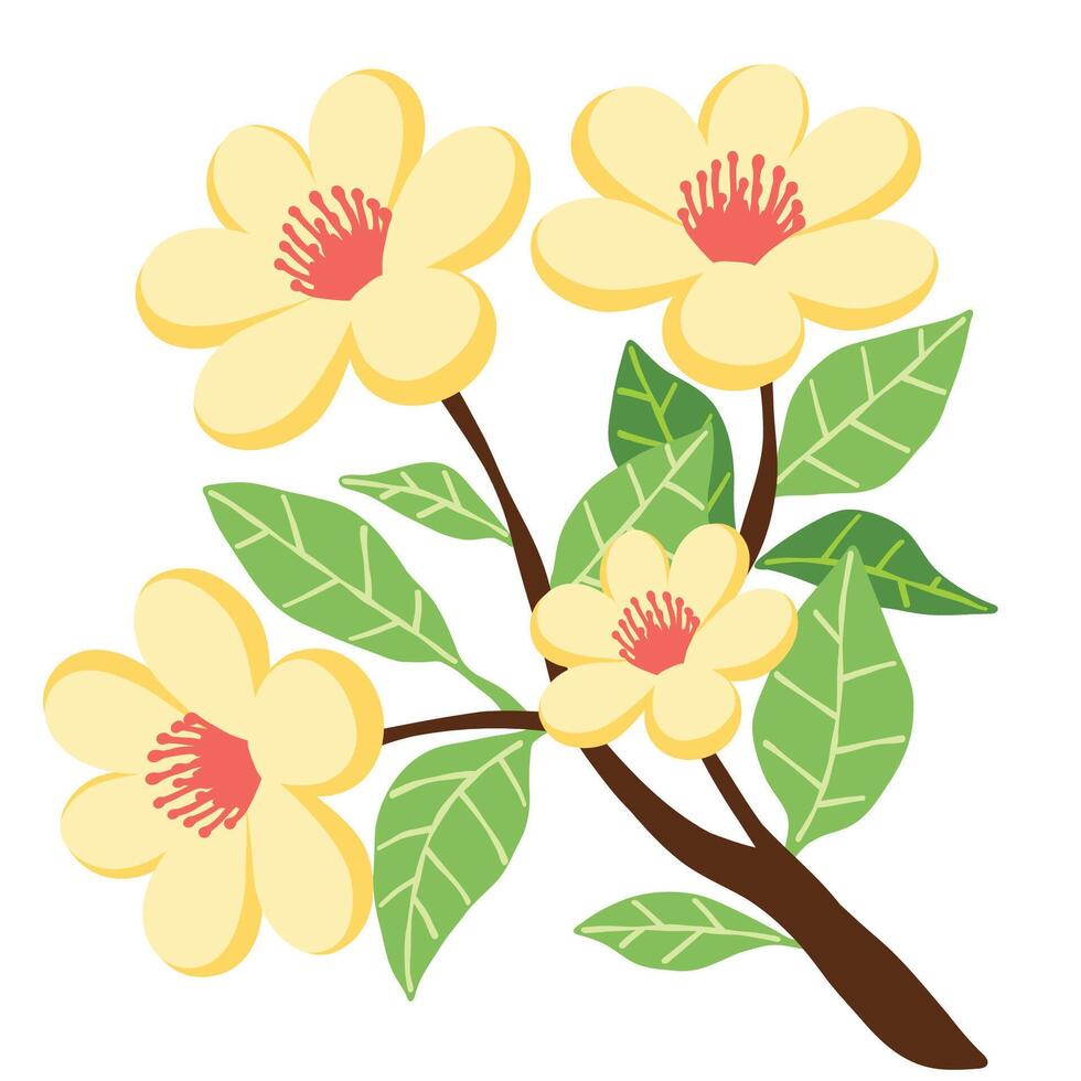 Branch of beautiful yellow flowers with red bud design illustration vector