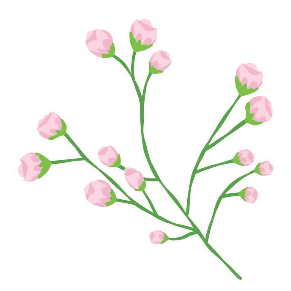 Branch of a tree with a little pink buds flower, isolated on white background illustration vector