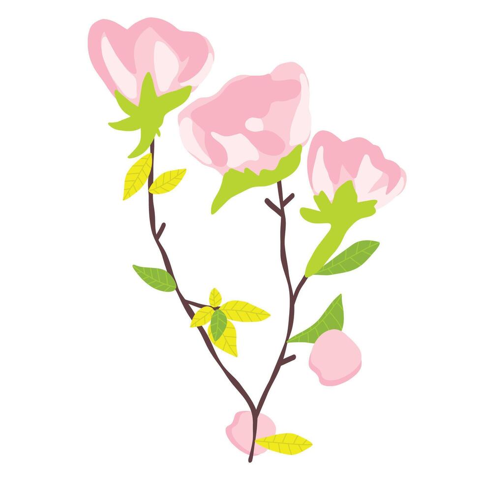 Cherry blossoms pink roses flower branch tree illustration vector