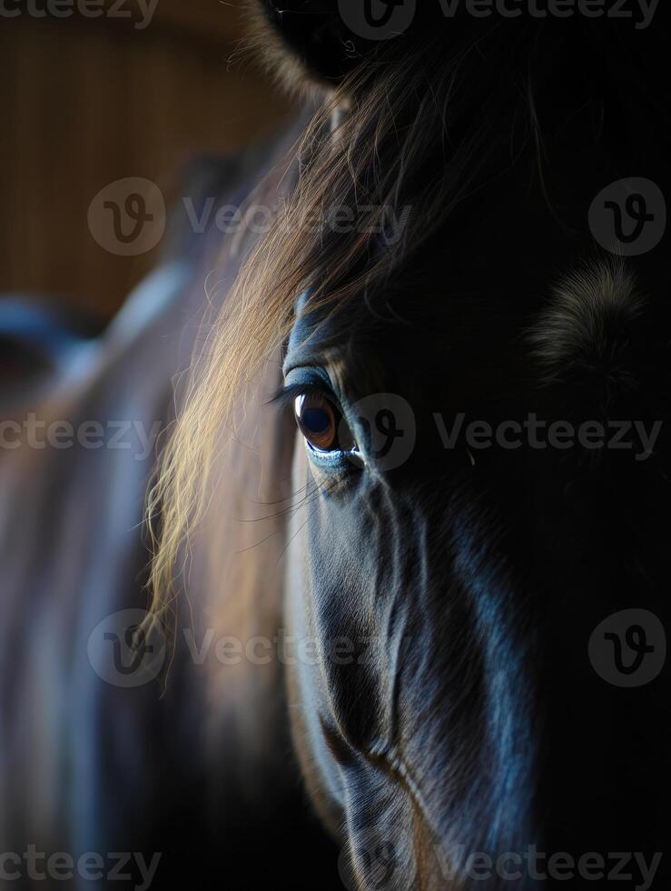 Close look at a horse in a barn during early evening hours on a quiet farm photo