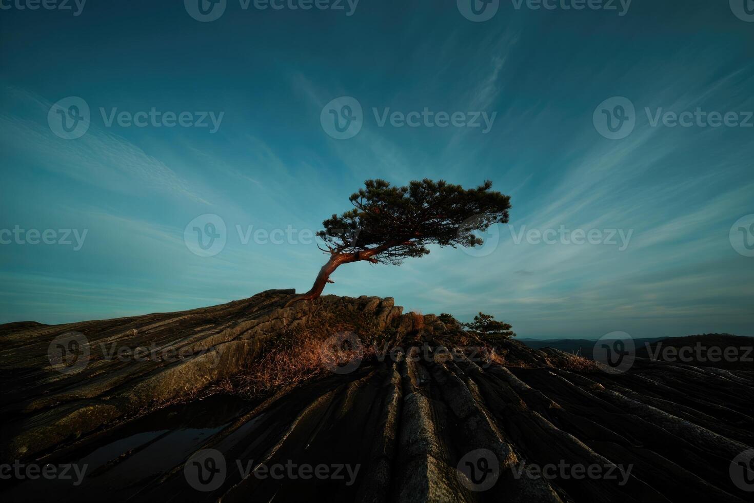 Majestic tree stands alone on rocky hill during twilight in serene landscape photo