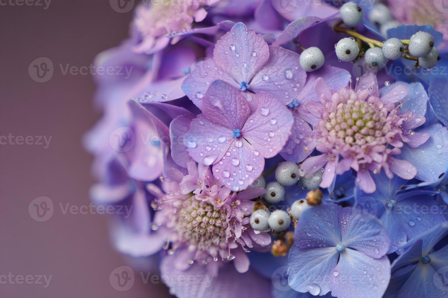 A beautiful close-up of a hydrangea bouquet with water droplets, in shades of purple and blue. photo
